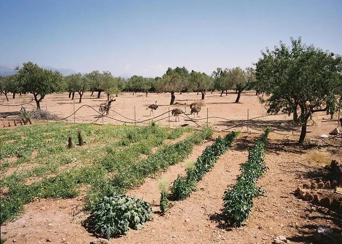 Agroturismo Es Quatre Cantons